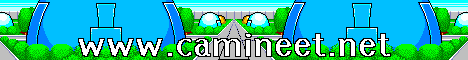 Camineet.net